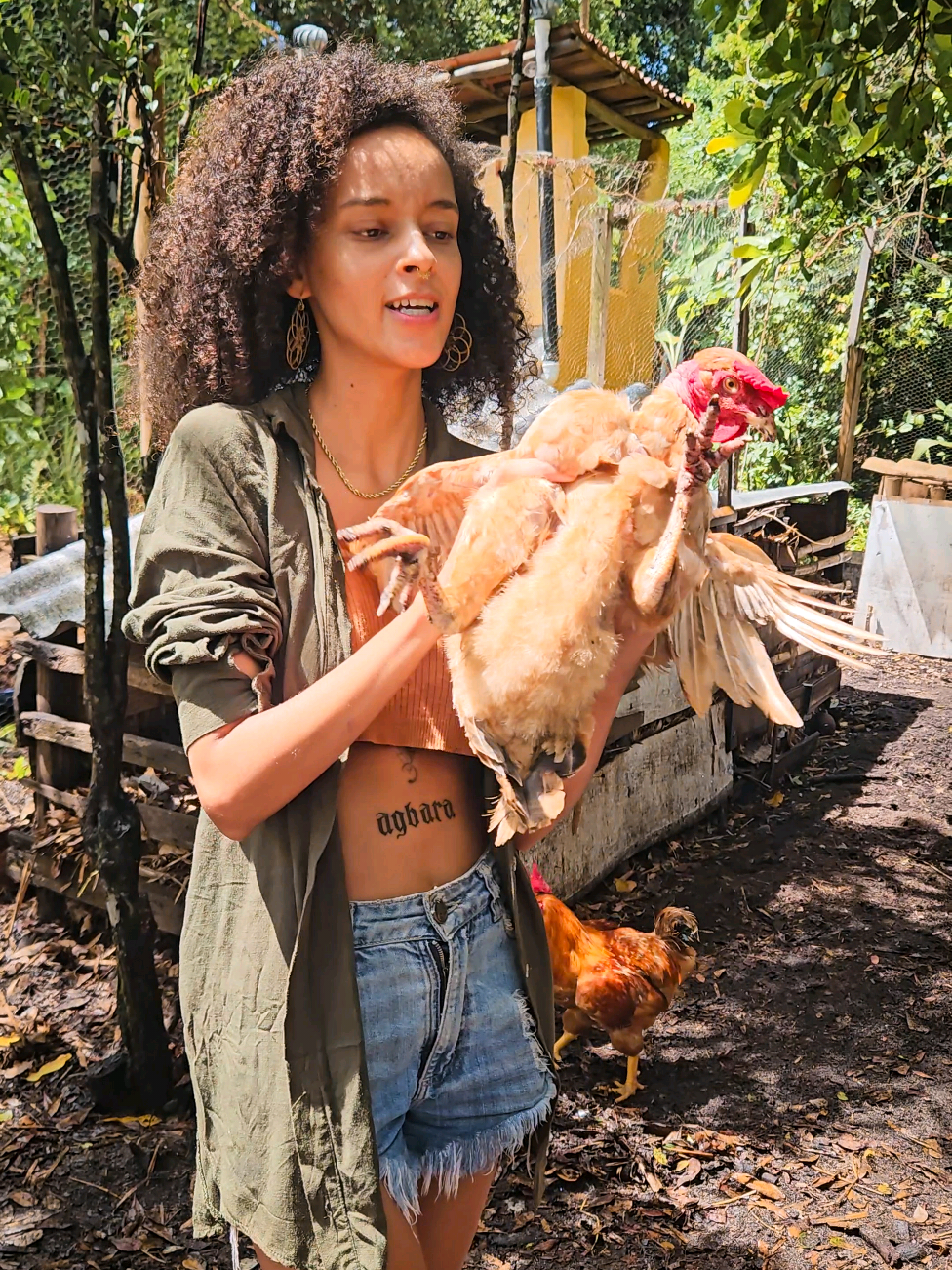 Como encontrar ovos felizes DE VERDADE 🐓🥚 E eu digo de verdade porque nem toda embalagem que estampa “ovos felizes” realmente vem de galinhas felizes. Esse termo é usado livremente no marketing, sem nenhuma regulamentação. Então, pra encontrar ovos realmente felizes, vá atrás dos pequenos produtores — aqueles que têm algumas galinhas no quintal e vendem seus ovos em feiras. Os melhores lugares para buscar são: ✨ Empórios de produtos a granel Alguns vendem ovos felizes, mas sempre pergunte a procedência: “As galinhas são suas? De quem são?”. Se não souberem responder, não dá pra confiar. ✨ Feiras agroecológicas São os melhores pontos! Como vêm da agricultura familiar, muitas vezes os produtores tem galinhas que são criadas soltas em casa. ✨ Núcleos de sustentabilidade Aqui em BH, por exemplo, sempre compramos do Núcleo Lixo Zero. Eles conhecem a procedência, dizem de qual fazenda vêm os ovos e até permitem visitas para quem quiser conhecer a produção. 👉 E você, já conhecia os ovos felizes? #natureza #ecologico #sustentabilidade #veganismo 