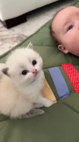 Maverick is still learning to be gentle 