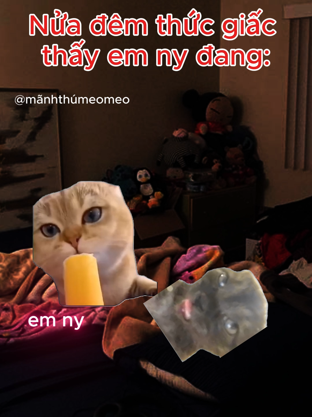 ái chà #meme #manhthumeomeow #cat #xh