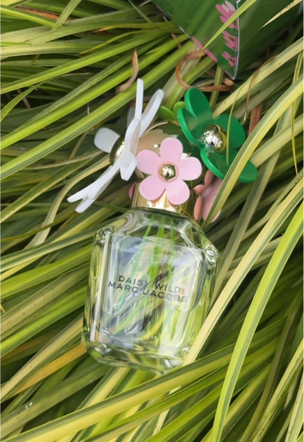 POV: you just found your Daisy 🌼 find yours available now  @Ulta Beauty ✨ @MarcJacobsFragrances #mjdaisy #pickyourdaisy #gifted #perfumetok 
