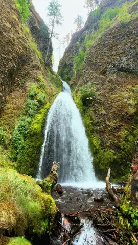 Good hike. 🤌🏼 #multnomahfalls #wahkeenafalls #hike #oregon #waterfalls 