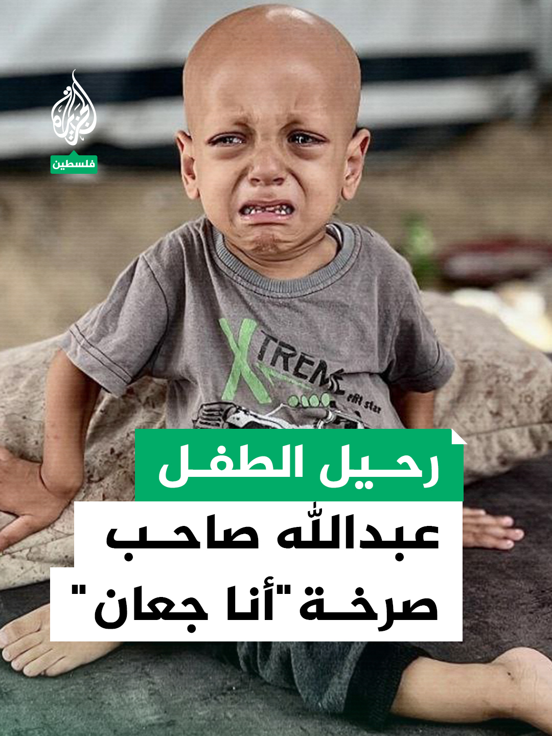 الطفل عبدالله أبو زرقة صاحب صرخة 