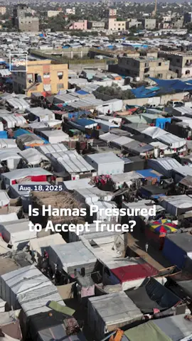 How much pressure is Hamas under to accept the latest ceasefire proposal as Israel prepares for a full-scale invasion of Gaza? Palestinian Legal Advisor Dr. Anis Kassim weighs in. #Hamas #Ceasefire