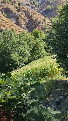 Hani anlamıyorum sanıyorsunuz ya! SANMAYIN.... 😉😉