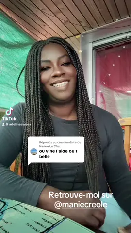 Réponse à @Nanou Le Char 