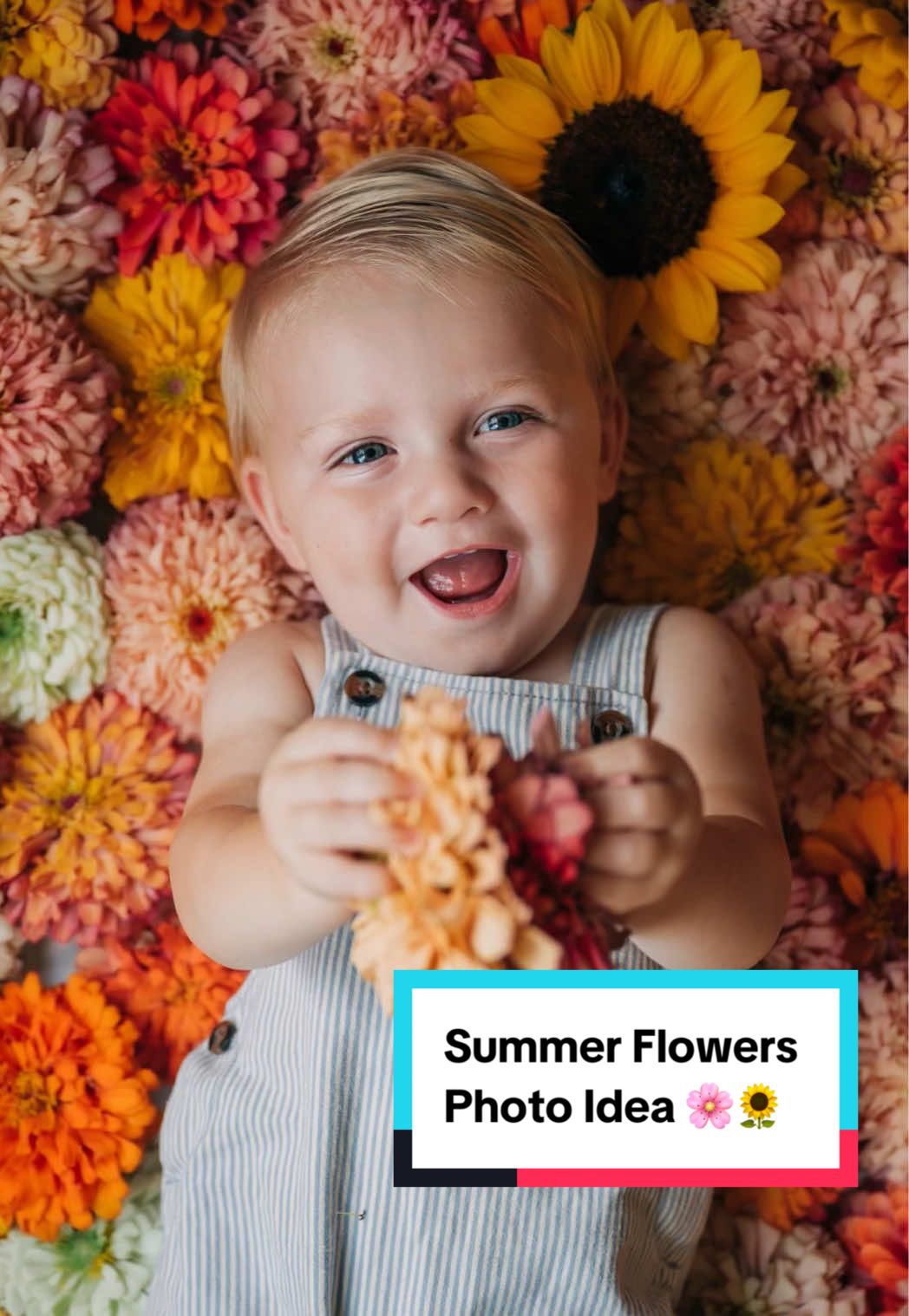 End of summer photo idea instead of letting those summer blooms to wilt in the garden as the season changes🌸🌻 Shot on my @Nikon USA Z6 with my 24-70mm f/2.8 lens📸#summerphotoshoot #summerphotoideas #flowerphotoshoot #photoshootideas #zinnias #sunflowers #nikoncreators 