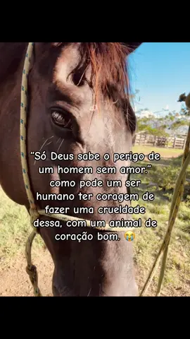 😭  #justiça #cavalo #fyp 