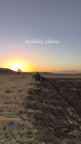 #denkbejşakiro💫 #keşfett #şakiro 