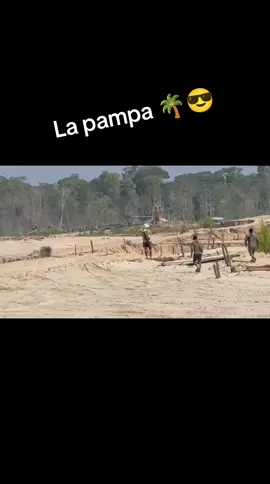 #mineria #puertomaldonado🍃🌴 #intervencionpolicial