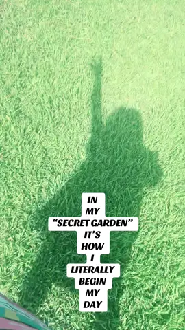 Oh!  And dancing with my shadow & imaginary friends in my TEXAS BACKYARD.#goodmorning #elegant #butterflygarden #dragonfly #choices 