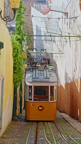 #portugal #lisbon #lisbonportugal #downtown 