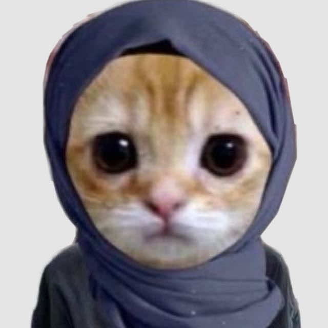 حرفيا بلشت باللبس 😭#pov #catsoftiktok #couplegoals 