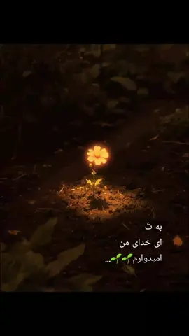 امیدوارم.... #قرآن  #یا_الله  #اللهم_صلي_على_نبينا_محمد  #الله_اكبر  #تلاوت  #سخنرانی 