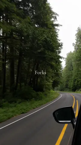 Forks #twilight #washington 