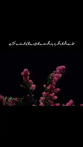 #foryourpage#nimrahahmed  #unfreezemyacount #creatorsearchinsights #tiktokstudio 