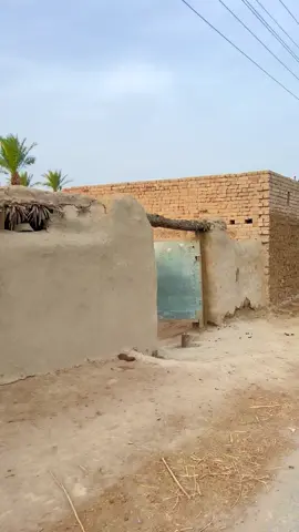 گاؤں کی سیر 📸 #foryoupage❤️❤️ #viewsproblem #unfreezemyacount #villagelifestyle #desimahool 
