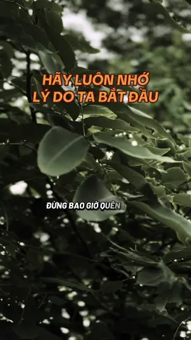 Nếu một lúc nào đó bạn muốn bỏ cuộc, hãy nhớ lại lý do ta bắt đầu #ngộđểan #phatphapnhiemmau #cliptrieuwiew #fyp #xuhuongtiktok 