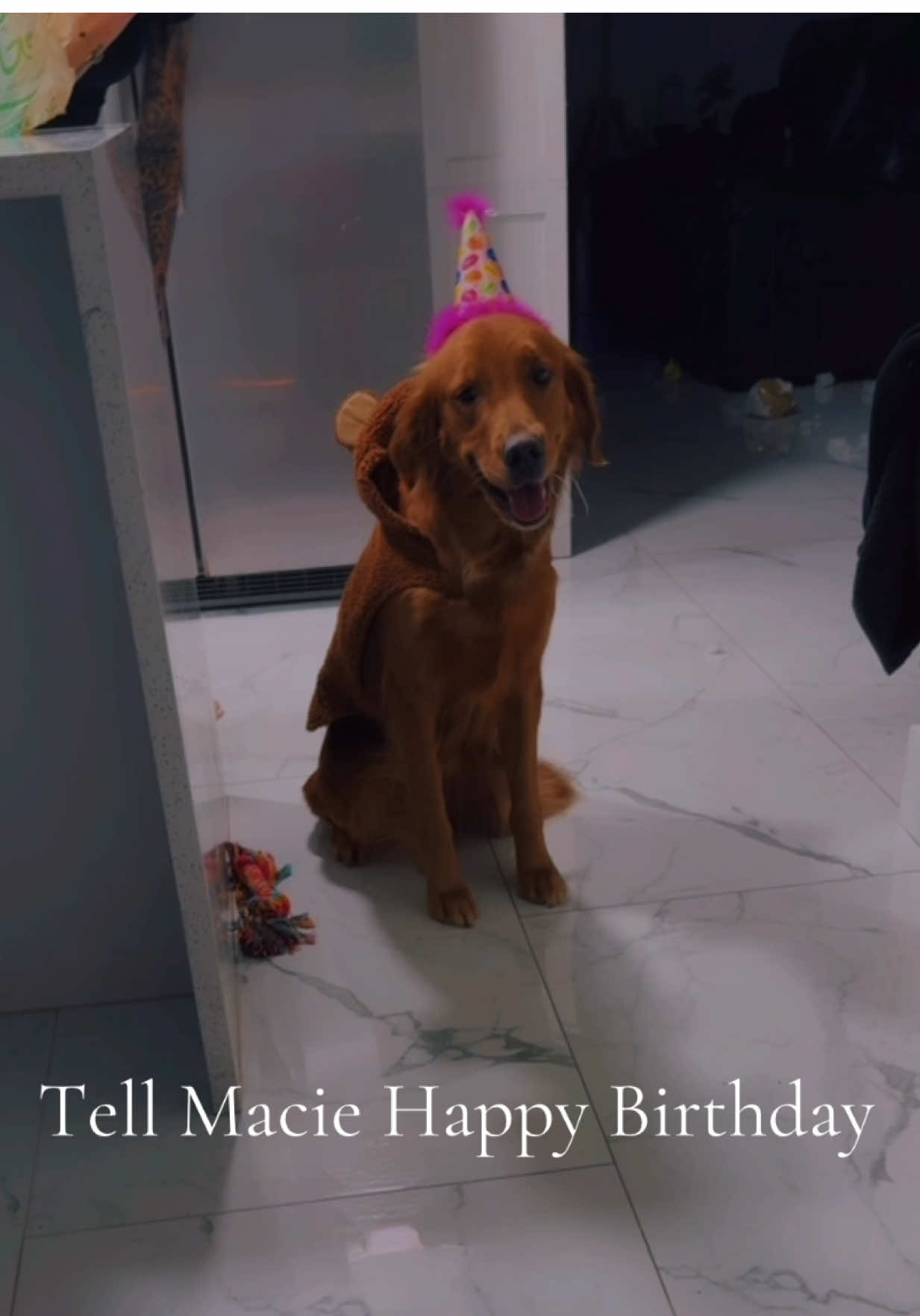 I cried. I love her so much 🥺😭  #fyp #wlw #goldenretriever #dogbirthday 