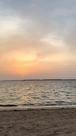#ينبع_المزه #pyf #explore 
