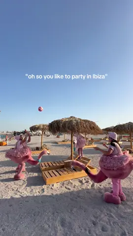 Travel is not a hobby. It's a lifestyle 🕶️ #365deziledevara #LaVidaEnRose #flamingolamare #litoralulromanesc #romania #roseverite #beciuldomnesc #funny 