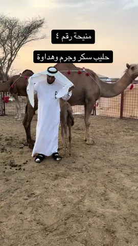 ٠٥٥٥٩٤٧٧١٠ ٠٥٣٨٠٠٨٠٠٩