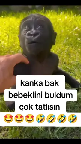 kanka tipkisinin aynısı 🤣🤣🤣🤣😂🤣😂🤣😂#eğlence #komedikocak #komedi #tiktok #keşfet 