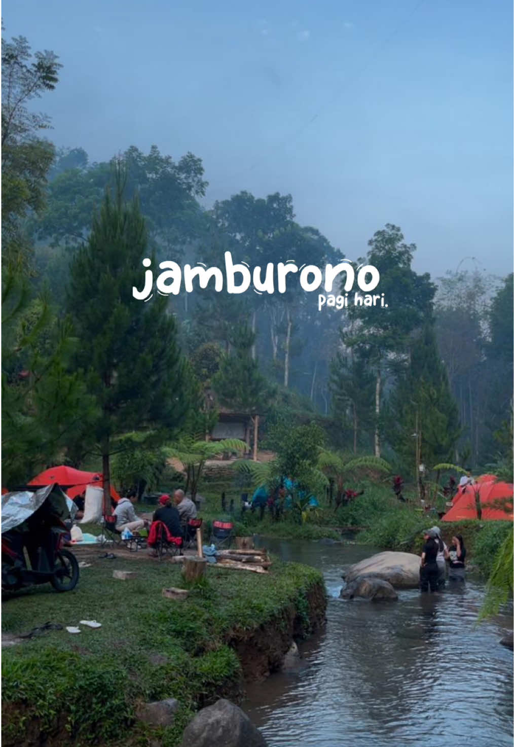 pagi di jamburono. Camping ceria. #camping #blitar24jam #jelajahblitar #keluarga #pendakigunung 