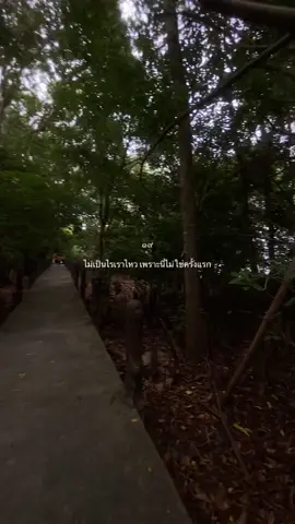 #ฟีดดดシ 