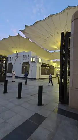 #المدينه_المنورة 