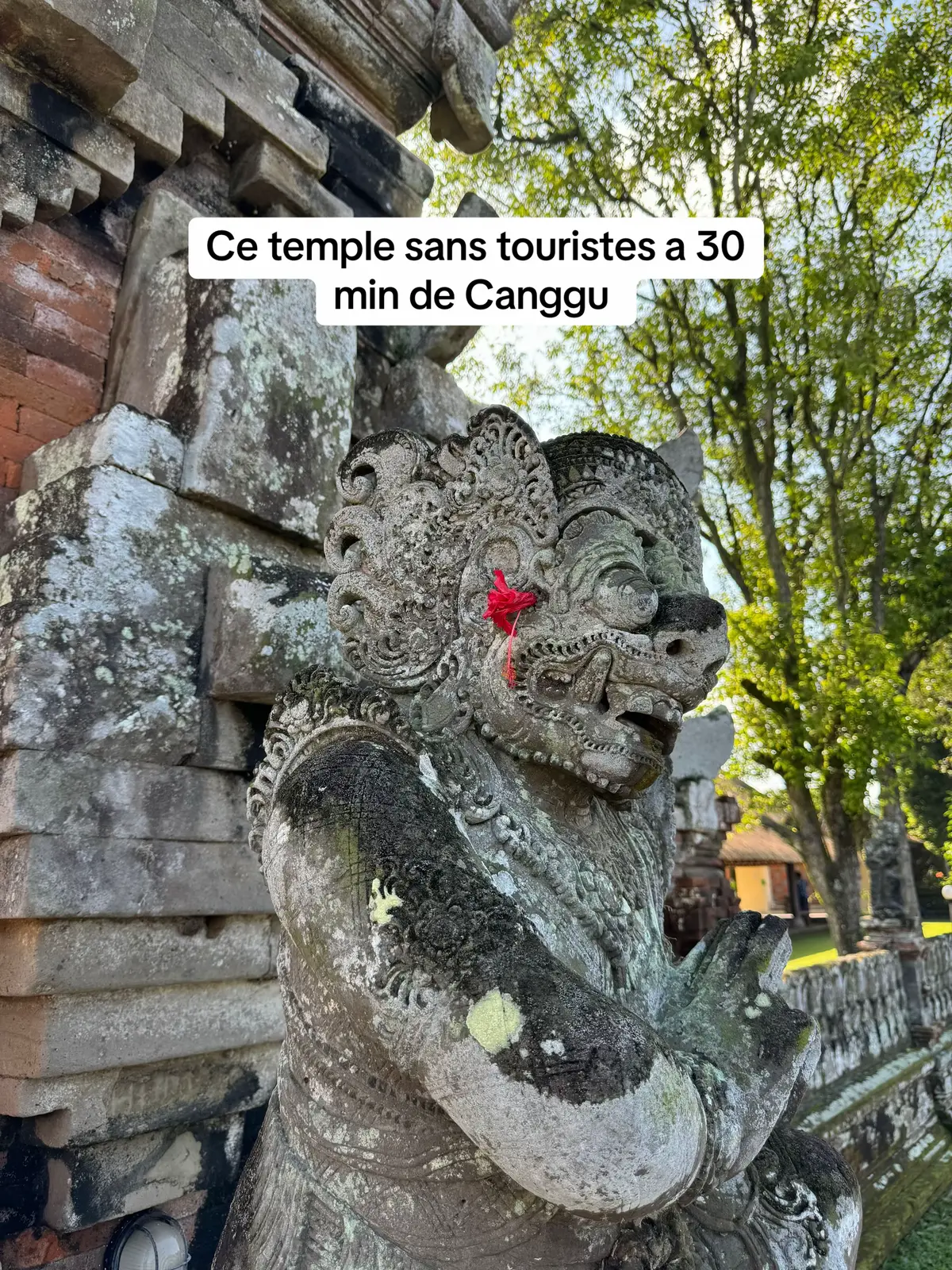 J’ai créé le guide que j’aurais rêvé d’avoir en arrivant ici pour 9.99€ seulement : * Mes adresses secrètes & coups de cœur * Des hébergements testés (hostels, guesthouses, hôtels & villas) * Des idées d’activités ville par ville * Des itinéraires complets (1 à 4 semaines) selon ton profil : solo, couple, famille, amis… Ce guide, c’est bien plus qu’un carnet d’adresses : c’est une façon de vivre Bali avec profondeur & authenticité. Bonne lecture… et surtout, bon voyage dans ce coin de paradis 🌞🏄‍♀️🪸🌴🌺 👉 Retrouve-le dans ma bio ! #baliguide #balitravel #explorebali #canggubali #ubudbali       