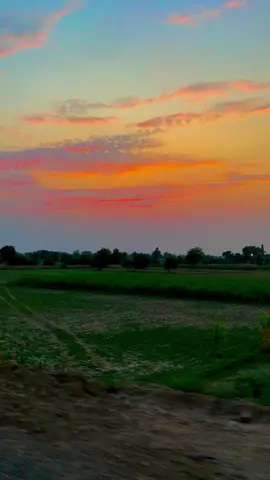 Evening in Punjab #villagelife #village #pindale #apnapunjab #punjablife 