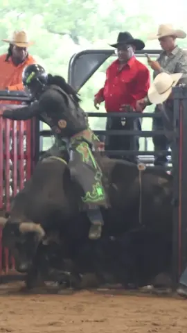 Young & Turnt 😎🤙🏾#fyp #Viral #bullriding #avhorton #RichOffPain 