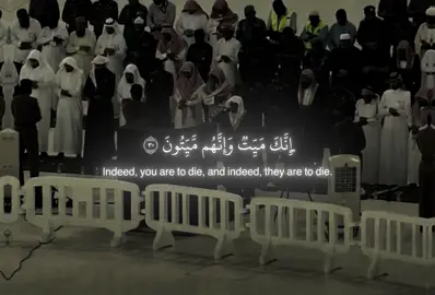 إِنَّكَ مَيِّتٌ وَإِنَّهُم مَّيِّتُونَ، تليجرام بالبايو حياكم #اكتب_شي_توجر_عليه #قران #ياسر_الدوسري #سبحان_الله #لا_اله_الا_الله #سبحان_الله_وبحمده_سبحان_الله_العظيم #لا_اله_الا_انت_سبحانك_اني_كنت_من_الظالمين #استغفرالله_العظيم_واتوب_اليه 