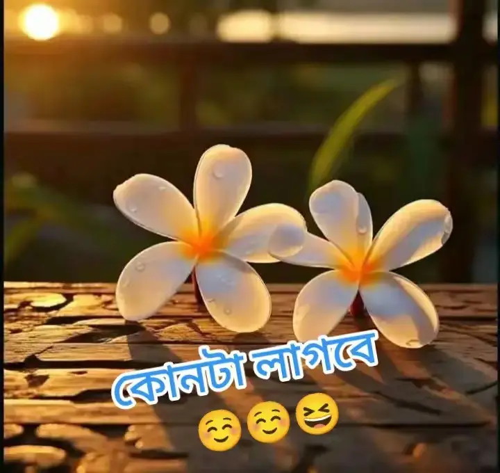 #new #pose #foryou #vido #bangladesh @For You @TikTok @For You House ⍟ @TikTok Bangladesh @🌿S A L A M U N🌿 @🌿আমি যশোরের ছেলে আর তুমি 🌿🌺 