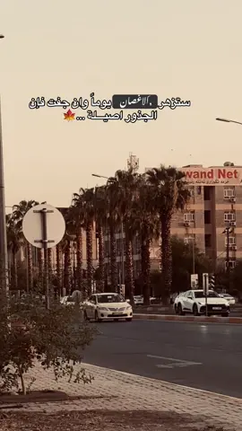 #الحمدالله_علی_کل_حال❤ #الگوير_مخمور_اربيل #الشعب_الصيني_ماله_حل😂😂  @saleh | صالح @علي حسين 