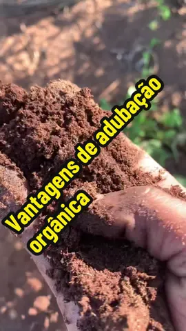 Conheça a vantagem de fazer adubação orgânica 🥰🥰🥰🥰#creatorsearchinsights #chideu #dica 