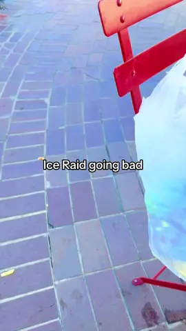 #iceraid#iceraidsincalifornia #birds #balboa #fyp 