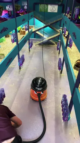 Could you clean this every few days?  *music - capcut- hustle hive rhythm* 