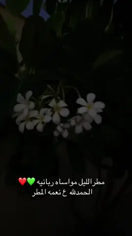#امواتنا_الراحلون_💔🥺 #امطار_الخير 