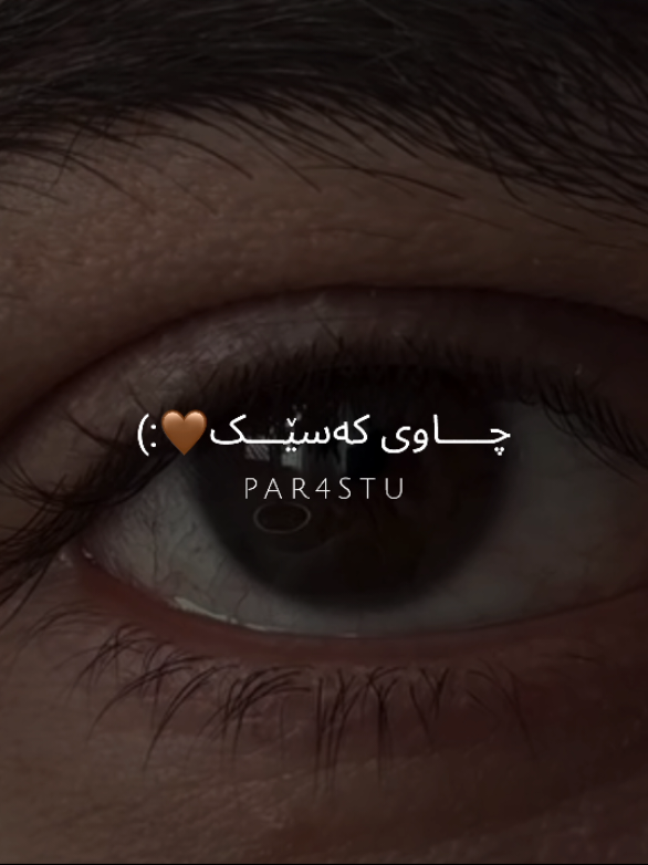 چـــاوی ڪەسـێـک🤎. #moonte4r 