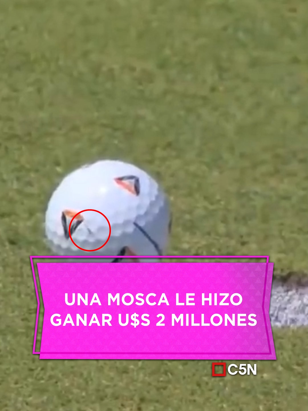 😨 Increíble: una mosca le hizo ganar u$s 2 millones | #c5n #noticias #mosca #golf