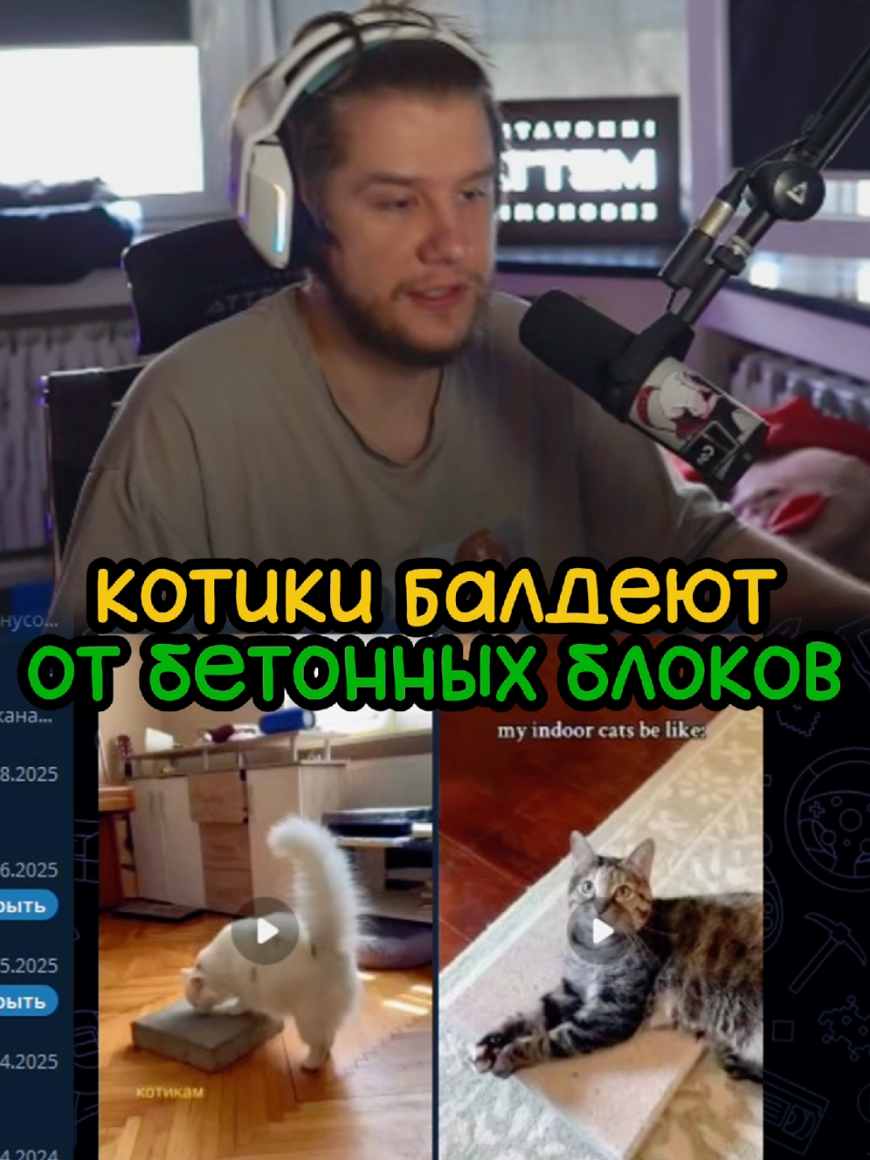 Котики балдеют от бетонных блоков | twitch: lagoda 1337 | #lagoda1337 #твичмоменты #стример #котики #кот 