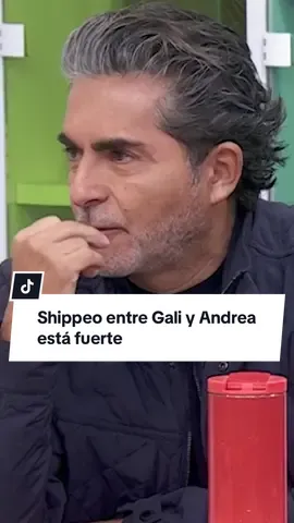 El shippeo entre @Galilea Montijo y #AndreaLegarreta puede ser real 😱😅 #Espectáculos #Entretenimiento #Televisa #hoy 