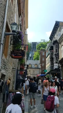 Walking in Quebec 🇨🇦  #canada #quebec #citywalks #typ 