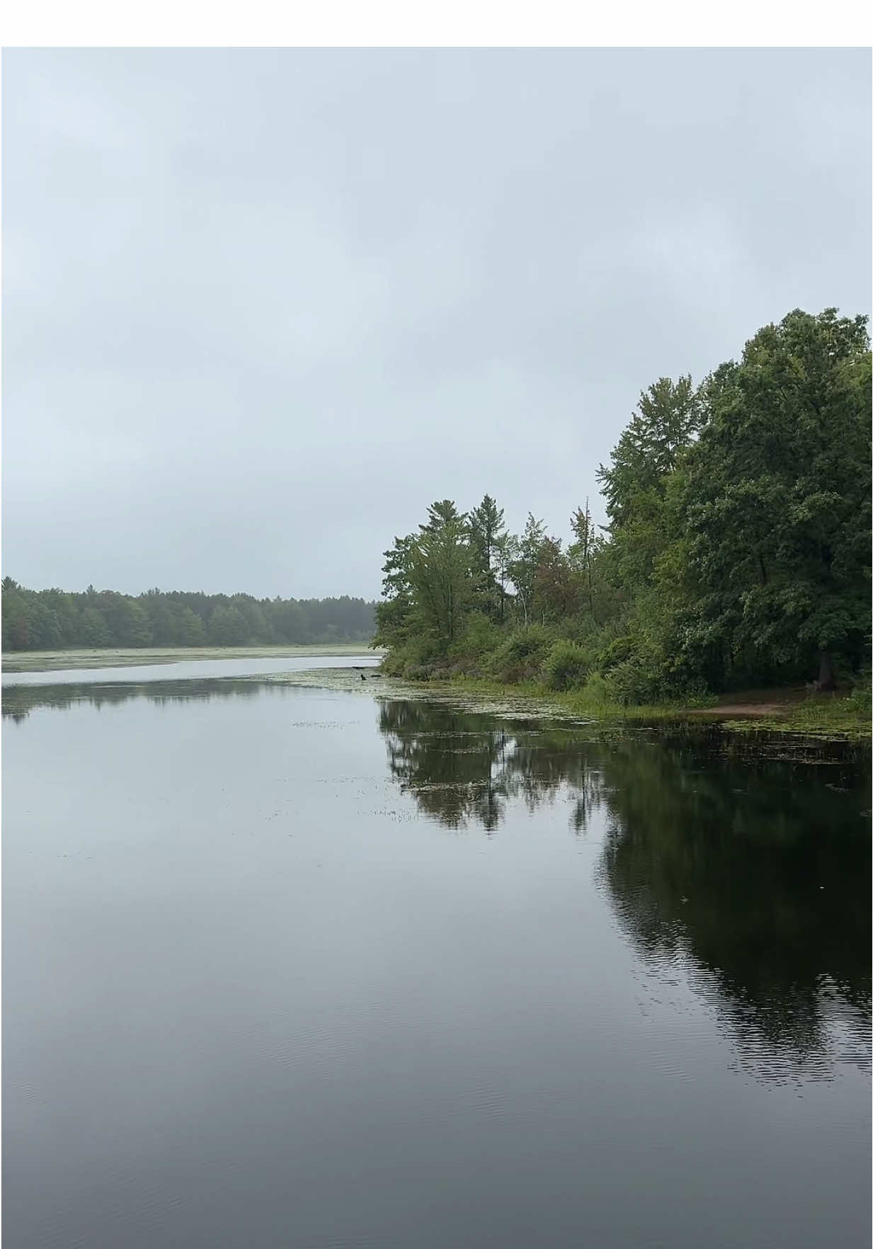 #MuskegonRiver  #ReedsburgDam #KaitInMich #PureMichigan #fyp 