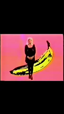 A small segment of Peel Slowly and See which was a rather long documentary about The Velvet Underground presented by Debbie Harry🤍🤍🤍 #thevelvetunderground #blondie #loureed #sundaymorning #andywarhol 