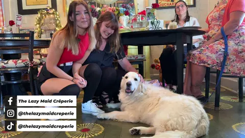 🐾 Bonjour, friends! It’s me, Halo the Tourism Dog, back with another adventure for my “Halo’s Hangouts” series. Today, I got to visit @The Lazy Maid Crêperie in historic downtown Brooksville—and let me tell you, it was paw-sitively amazing! 🥞🐶 The wonderful folks there made me my very own dog crêpe (yes, you heard that right—they even have dog crêpes on the menu just for pups like me! 🐕✨). It was delicious, and I think I might have found my new favorite hangout spot. But here’s the really cool part: The crêperie is inside a house that was built back in the mid to late 1800s! A piece of Brooksville’s history now filled with the sweet smell of fresh crêpes, laughter, and happy tails like mine. 🐾 If you’re strolling through Brooksville, bring your humans to The Lazy Maid Crêperie for a treat—and don’t forget to ask for a dog crêpe so we can share in the fun. 🐾💛 #HalosHangouts #DogFriendlyFlorida  #PupAdventures #FoodieTravel #CrepeLovers       