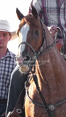 Pirate needs his own fan page #steerwrestling #oneeye
