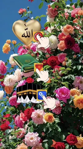 #allah 