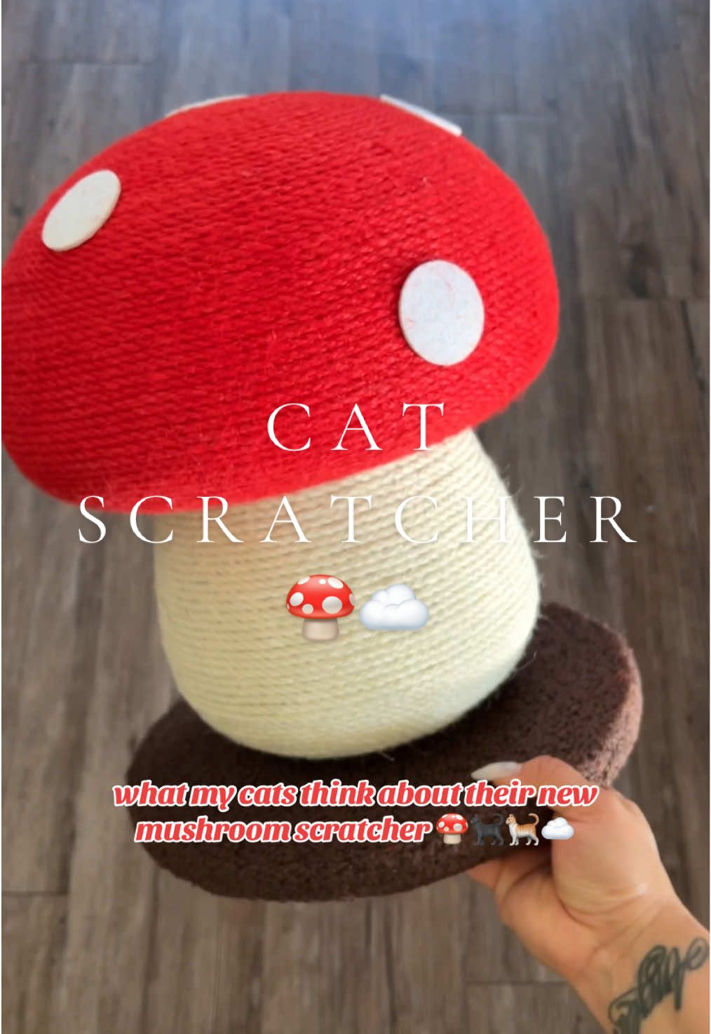 a cat scratcher shaped as s mushroom 🍄🥹🤭🐈‍⬛ one of my cats loved it & the other was not amused 😭 #catscratcher#catscratchingpost#tiktokshopcreatorpicks#catscratching#catscratchingboard#cat#catsdoingthings 